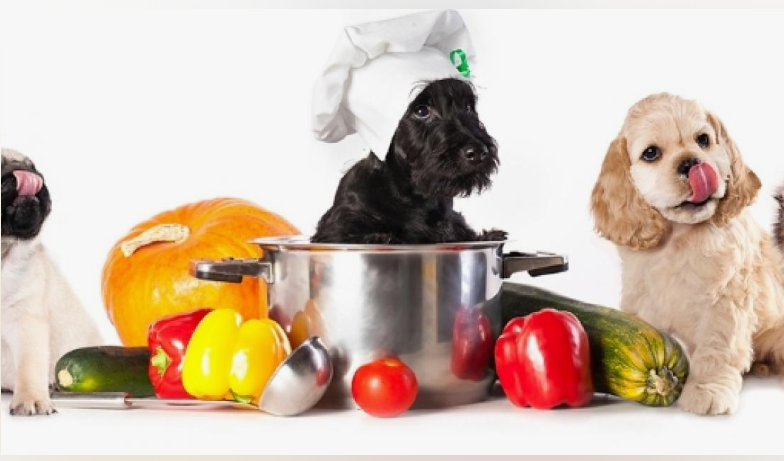 comida para cachorro 