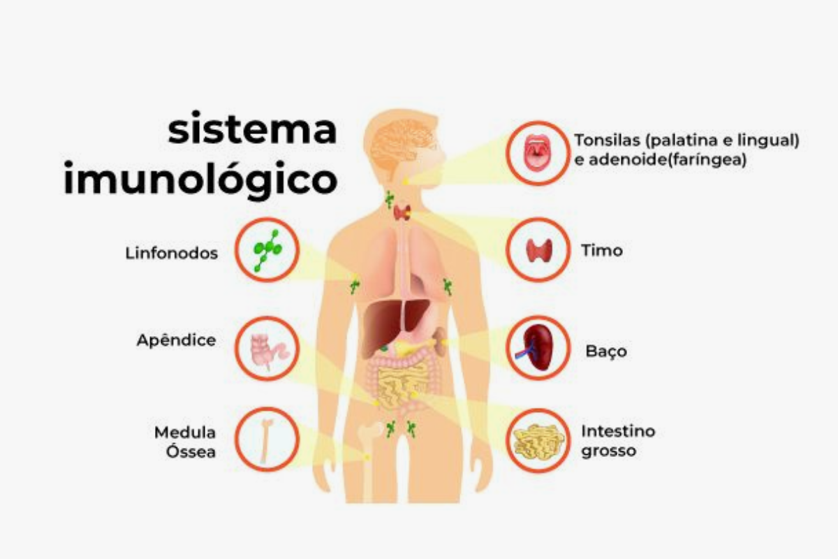 sistema imonológico